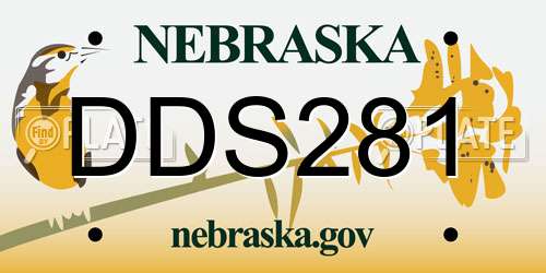 DDS281 Nebraska License Plate