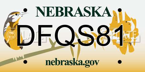 DFQS81 Nebraska License Plate