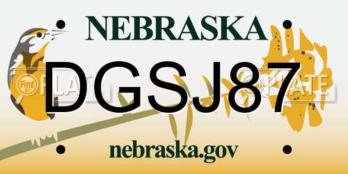 DGSJ87 Nebraska License Plate