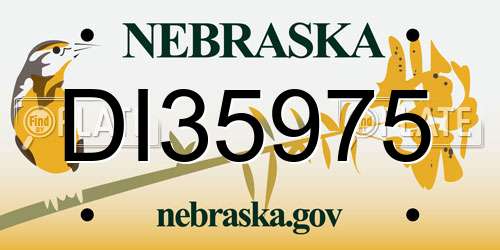 DI35975 Nebraska License Plate