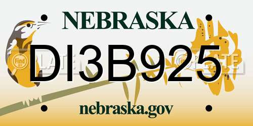 DI3B925 Nebraska License Plate