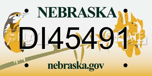 DI45491 Nebraska License Plate