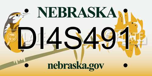 DI4S491 Nebraska License Plate