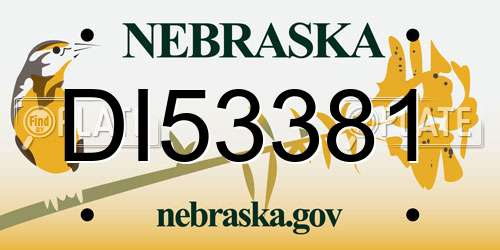 DI53381 Nebraska License Plate