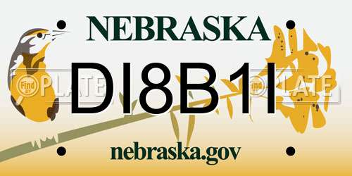 DI8B1I Nebraska License Plate