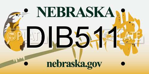 DIB511 Nebraska License Plate