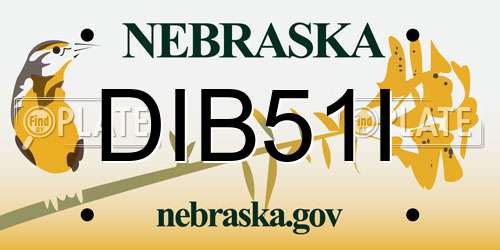 DIB51I Nebraska License Plate