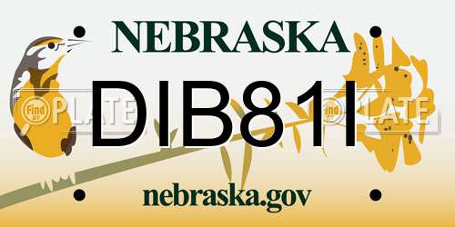 DIB81I Nebraska License Plate