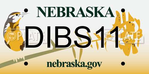 DIBS11 Nebraska License Plate
