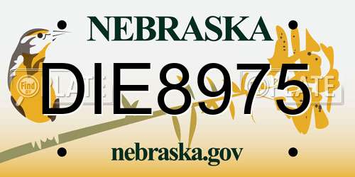 DIE8975 Nebraska License Plate