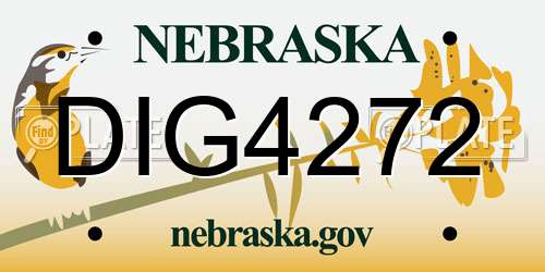 DIG4272 Nebraska License Plate