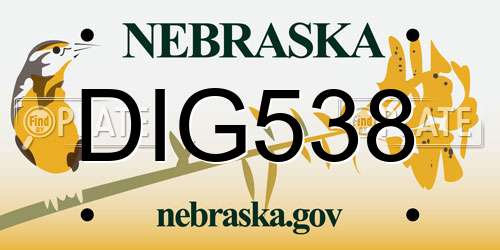 DIG538 Nebraska License Plate
