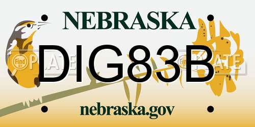 DIG83B Nebraska License Plate