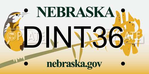 DINT36 Nebraska License Plate