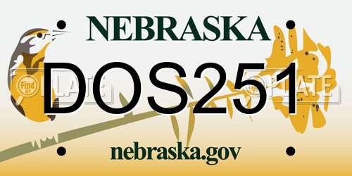 DOS251 Nebraska License Plate