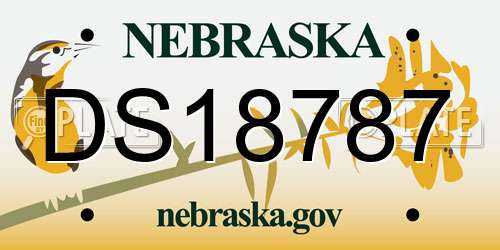 DS18787 Nebraska License Plate