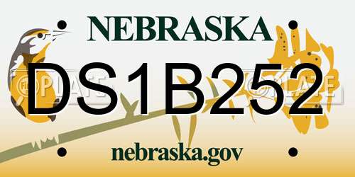 DS1B252 Nebraska License Plate