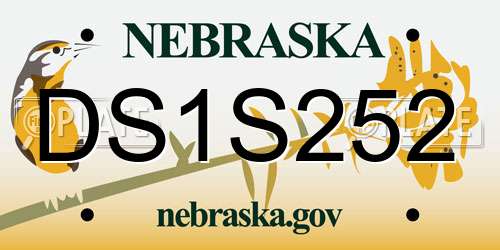 DS1S252 Nebraska License Plate
