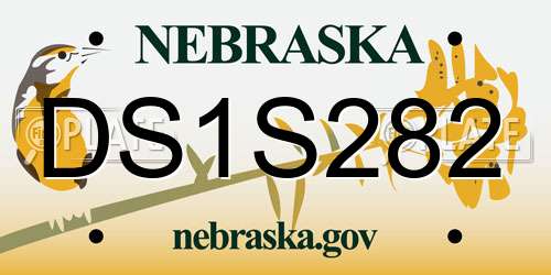 DS1S282 Nebraska License Plate