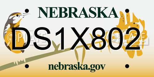 DS1X802 Nebraska License Plate