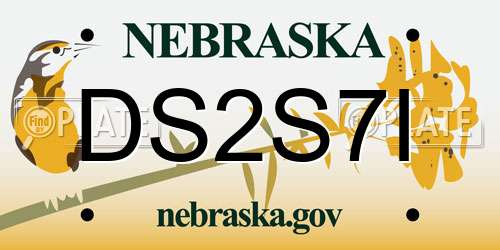 DS2S7I Nebraska License Plate