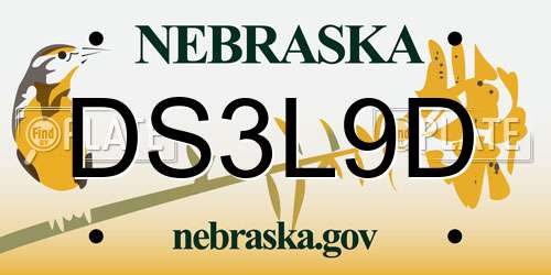 DS3L9D Nebraska License Plate