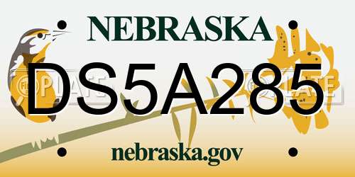 DS5A285 Nebraska License Plate