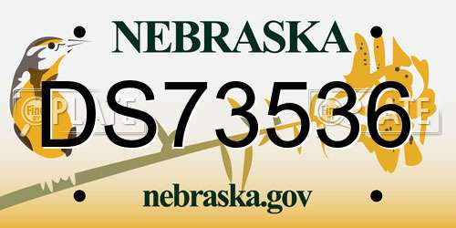 DS73536 Nebraska License Plate