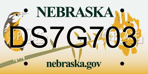 DS7G703 Nebraska License Plate