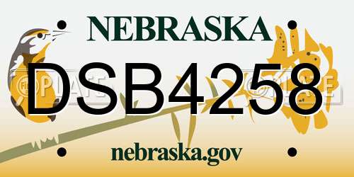 DSB4258 Nebraska License Plate