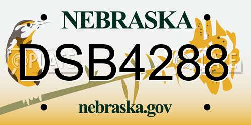 DSB4288 Nebraska License Plate