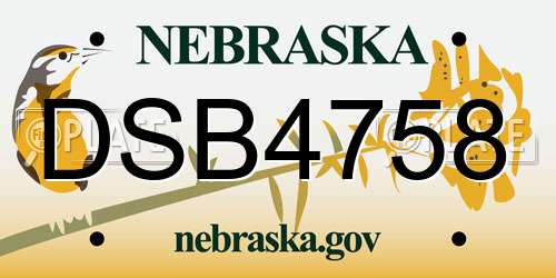 DSB4758 Nebraska License Plate