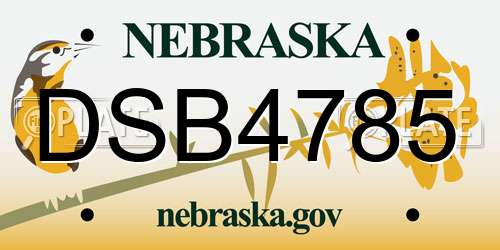 DSB4785 Nebraska License Plate