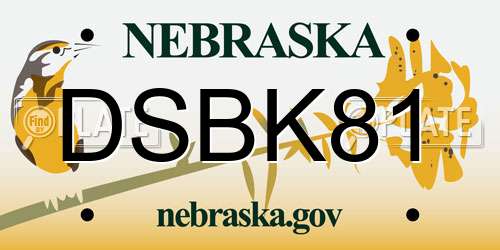 DSBK81 Nebraska License Plate