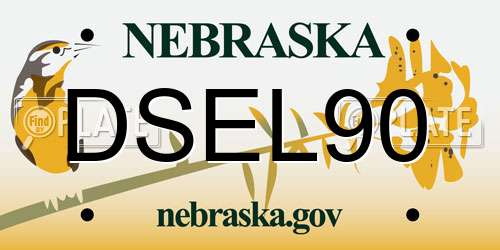DSEL90 Nebraska License Plate