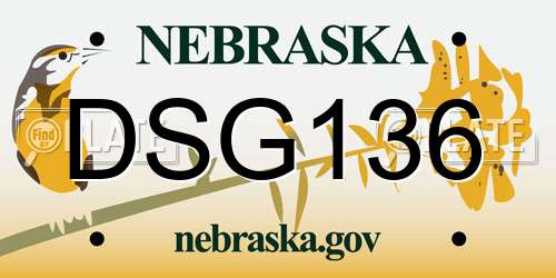DSG136 Nebraska License Plate