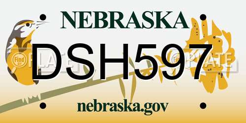 DSH597 Nebraska License Plate