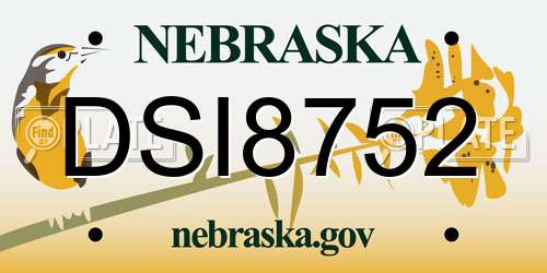 DSI8752 Nebraska License Plate