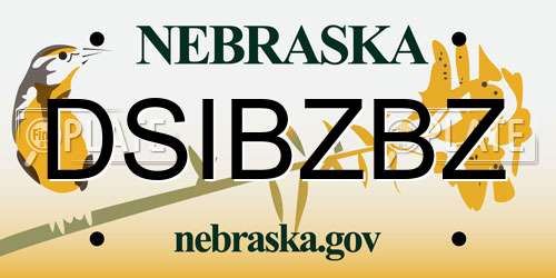 DSIBZBZ Nebraska License Plate