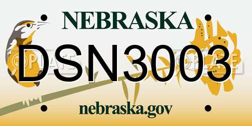 DSN3003 Nebraska License Plate