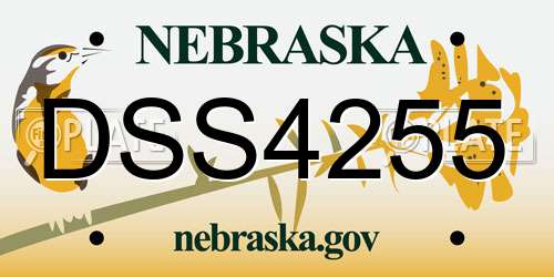 DSS4255 Nebraska License Plate
