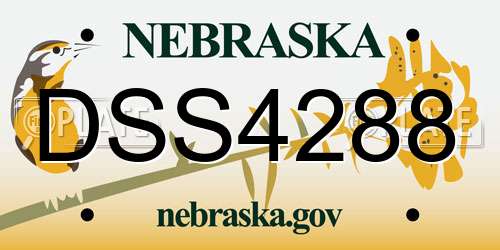 DSS4288 Nebraska License Plate