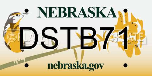 DSTB71 Nebraska License Plate