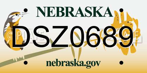 DSZ0689 Nebraska License Plate