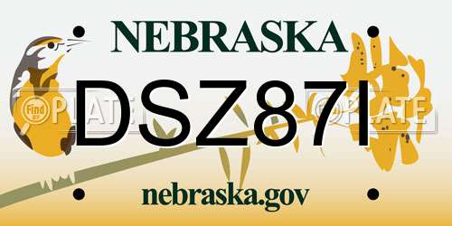 DSZ87I Nebraska License Plate