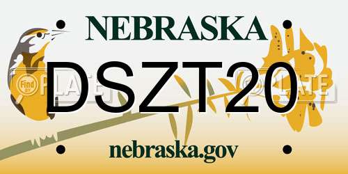 DSZT20 Nebraska License Plate