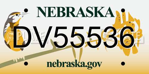 DV55536 Nebraska License Plate