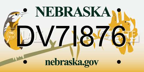 DV7I876 Nebraska License Plate