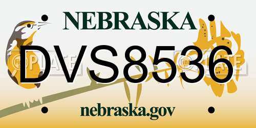 DVS8536 Nebraska License Plate