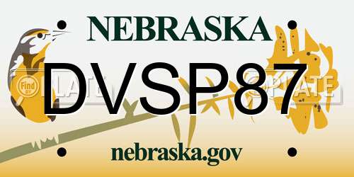 DVSP87 Nebraska License Plate